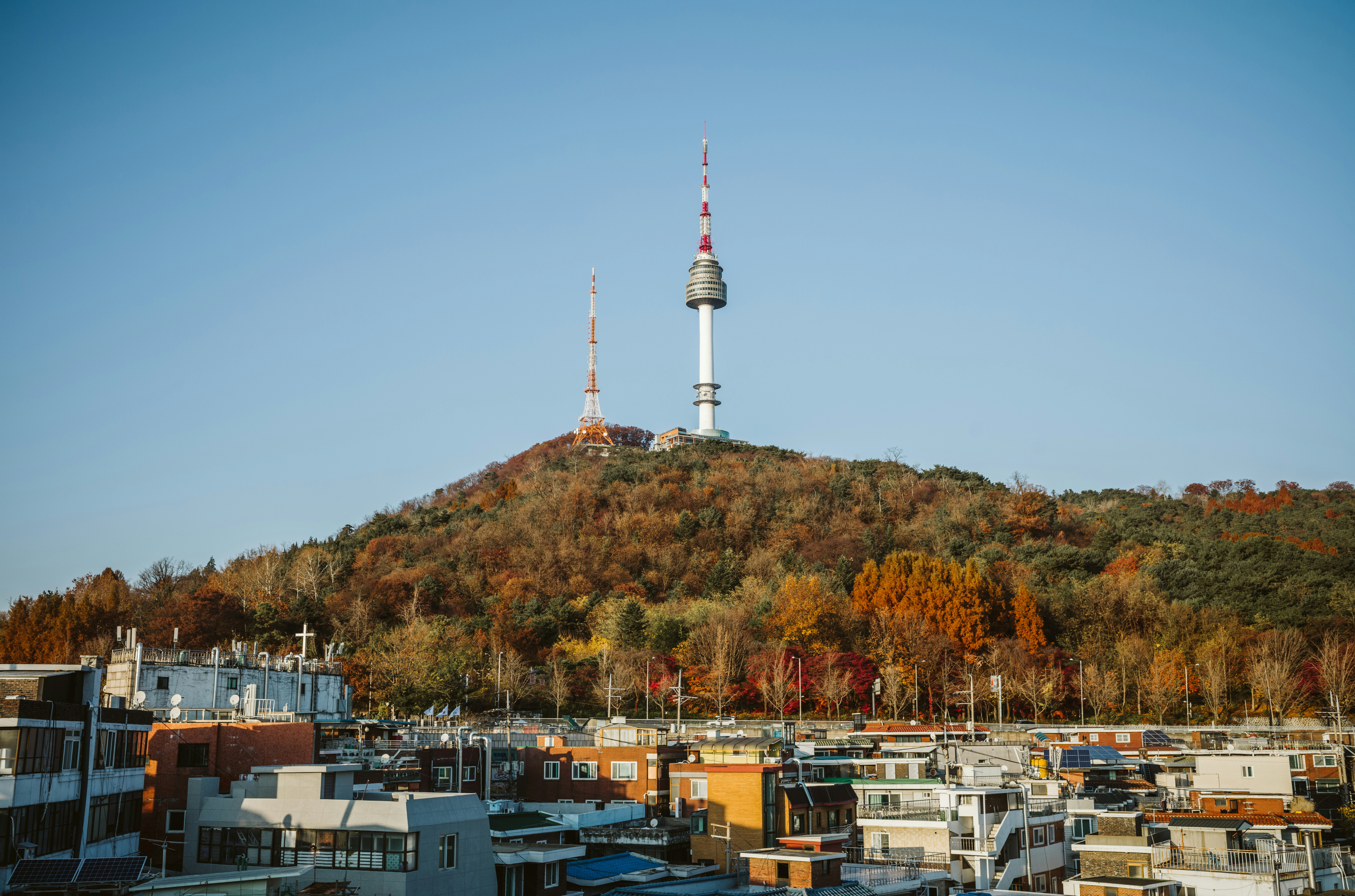 oat-appleseed-2Du-53nZKYs-unsplash (1)