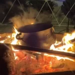 פוויקה 2